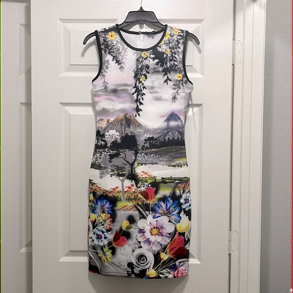 3/$25!!
Pretty little dress Orinetal Vibe